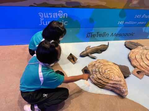 เยี่ยมชมพิพิธภัณฑ์ธรณีวิทยาพุนพิน